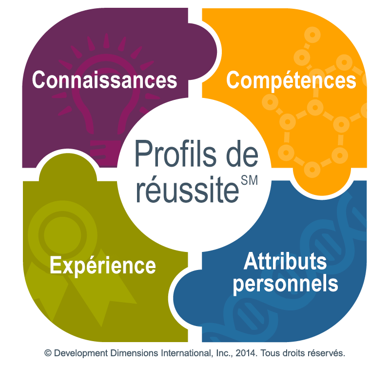 image du profil de réussite de DDI, montrant que chaque pièce du casse-tête (connaissances, expérience, compétences et attributs personnels) est importante pour évaluer un candidat et ne pas permettre aux préjugés d’embauche d’entrer dans le processus d’embauche
