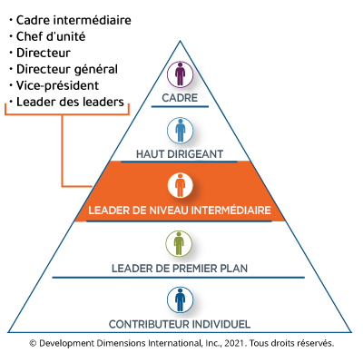 Graphique pyramidal montrant les couches de la gestion d’une organisation : la couche inférieure est le contributeur individuel, la couche suivante est le leader de première ligne, la troisième couche est le leader de niveau intermédiaire (peut également être appelé cadre intermédiaire, chef d’unité commerciale, directeur, etc.), la quatrième couche est le leader principal et les leaders de niveau C sont tout en haut de la pyramide