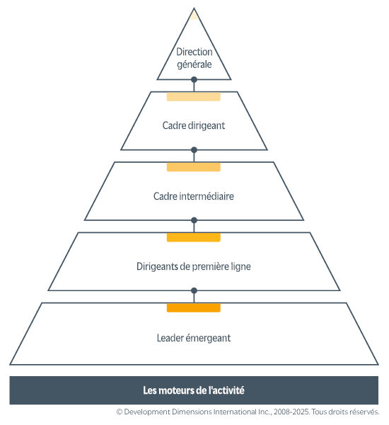 Une pyramide de leadership montrant les niveaux de leader allant du leader émergent au leader de première ligne, en passant par le leader de niveau intermédiaire et le leader senior jusqu’au niveau C, le tout construit sur une base de moteurs d’activité.