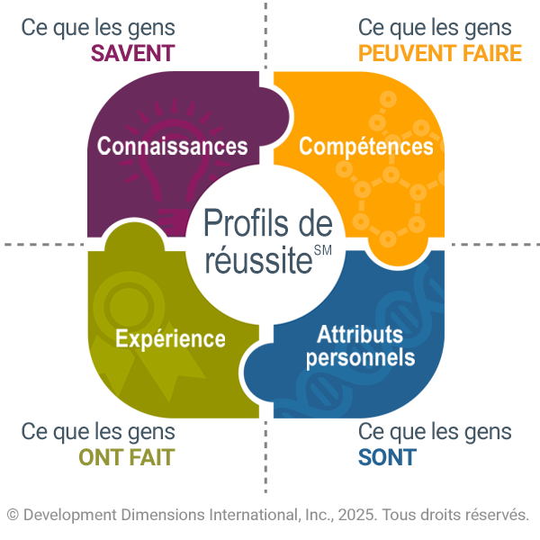 Quatre pièces de puzzle colorées sont assemblées pour montrer les quatre aspects des profils de réussite, les connaissances, l’expérience, les compétences et les attributs personnels.