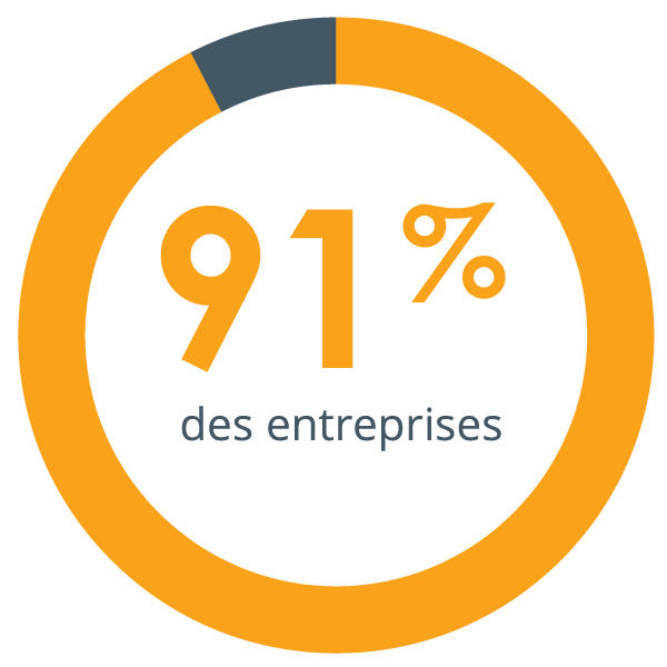 Le cercle a rempli 91 % pour montrer que lorsque les compétences sont le fondement de leurs processus RH, 91 % des organisations déclarent que leur formation et leur développement sont plus efficaces. (Rapport d’enquête de DDI sur les pratiques en matière de compétences professionnelles et de rôles)