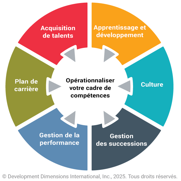 Une roue colorée découpée pour décrire les aspects clés, comme la culture et la gestion de la relève, qui rendent opérationnel un cadre de compétences en leadership.